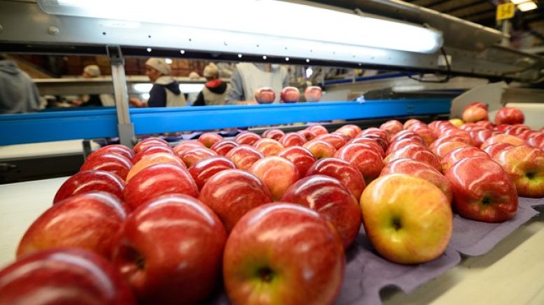 ¿Qué le piden los mercados internacionales a la fruta argentina?